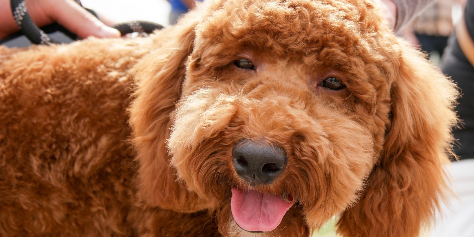 rene-vincit-MUs5nKdY-gc-unsplash