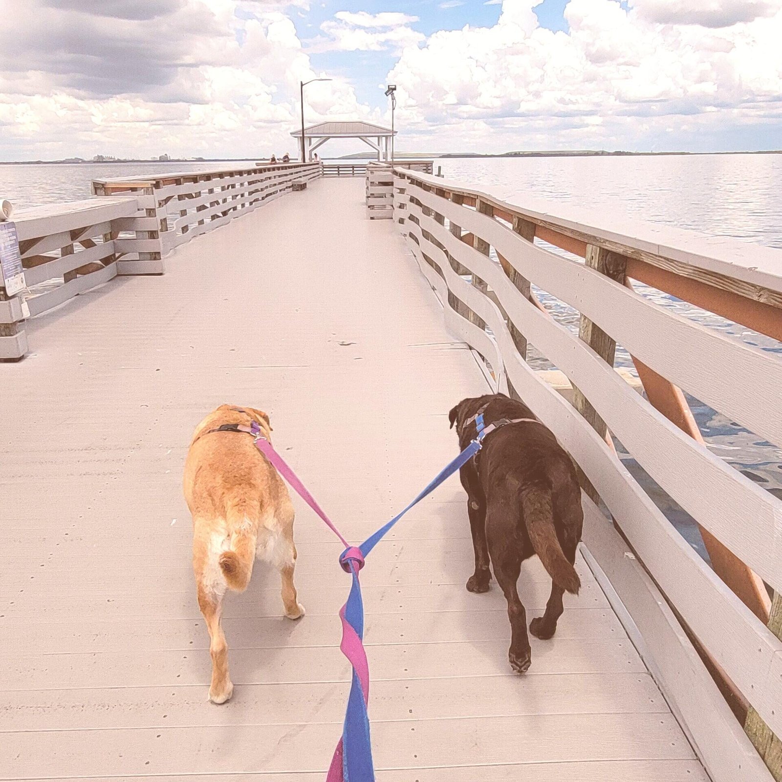 20230525_134128-scaled-washed 20230525_134128-scaled-washed