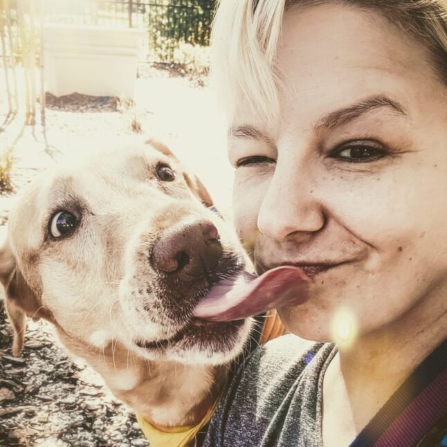 PSX_20221201_161913~2