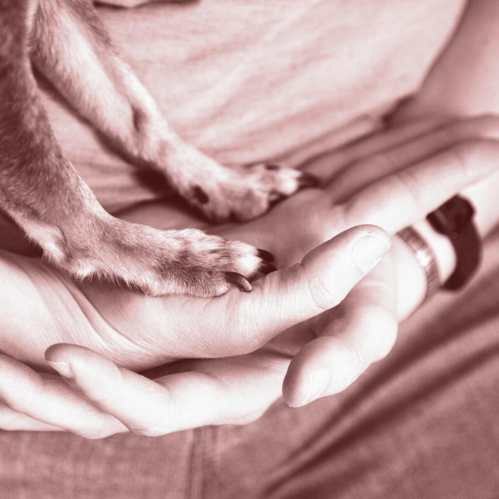 shane-ORANlqq4Z7g-unsplash-1-scaled-retro