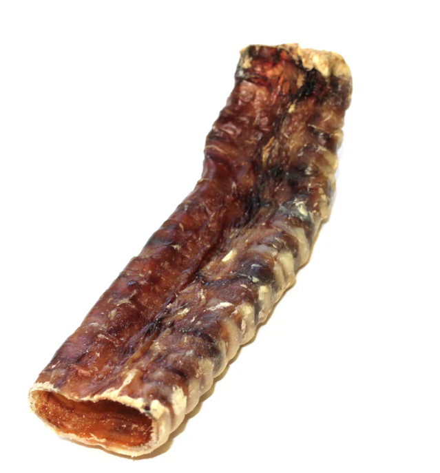 Beef Trachea 6"
